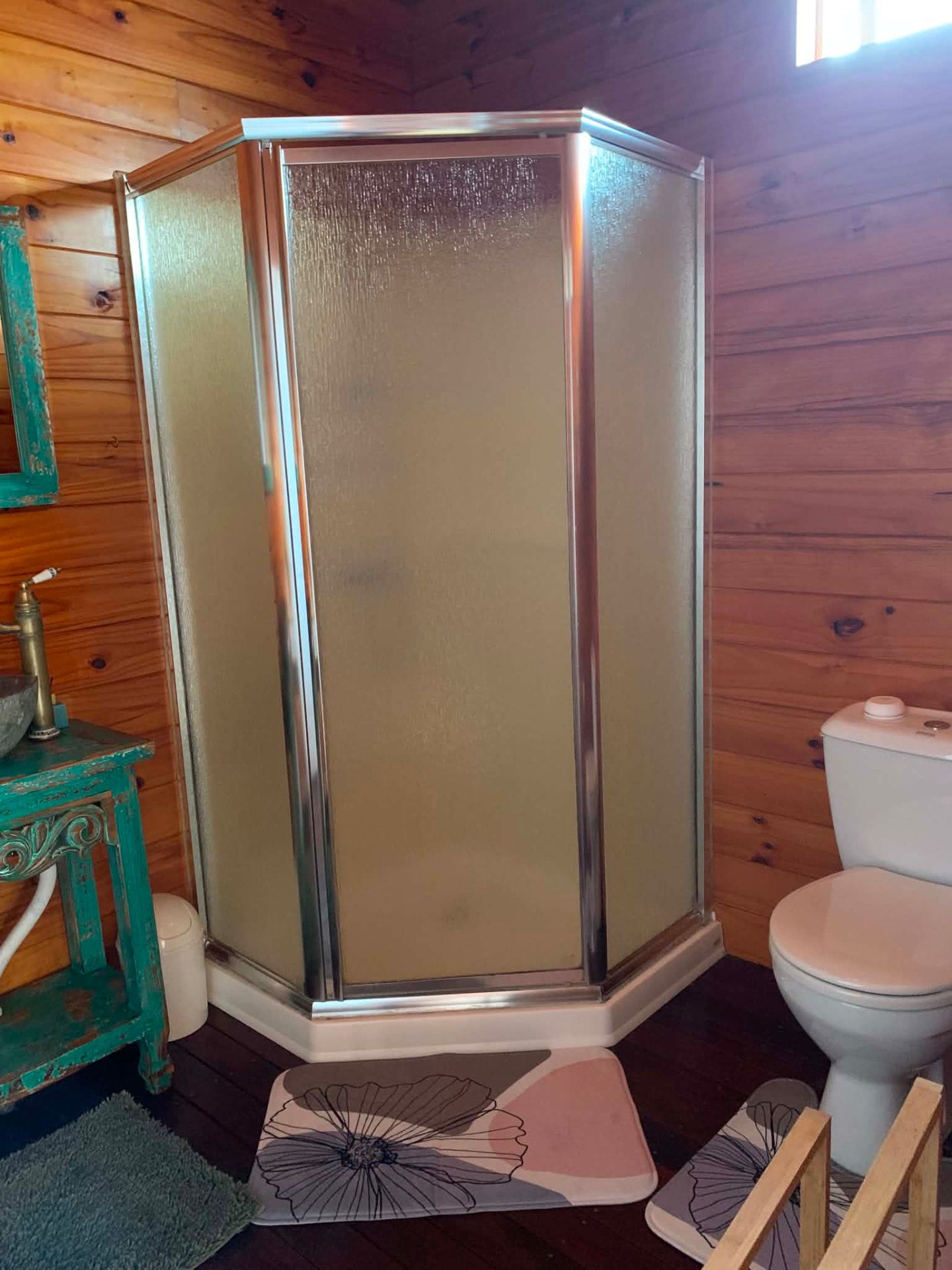 Salle de bain avec douche et WC